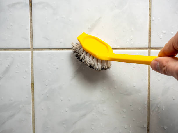 Best Mold Removal Company Near Me  in Laurel, MS