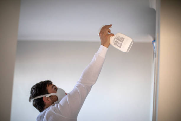 Crawl Space Mold Removal in Laurel, MS