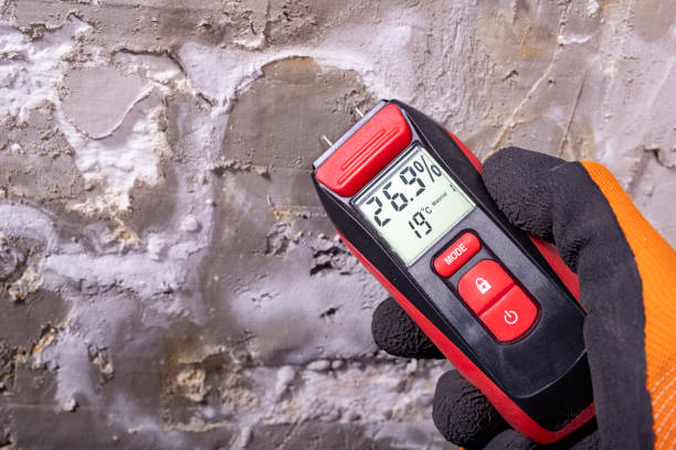 Best Emergency Mold Removal  in Laurel, MS