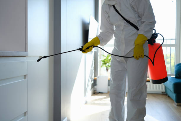 Best Office Mold Removal Services  in Laurel, MS