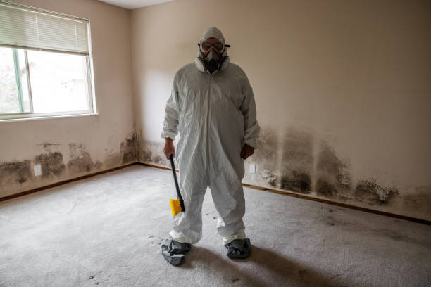 Best Professional Mold Removal  in Laurel, MS